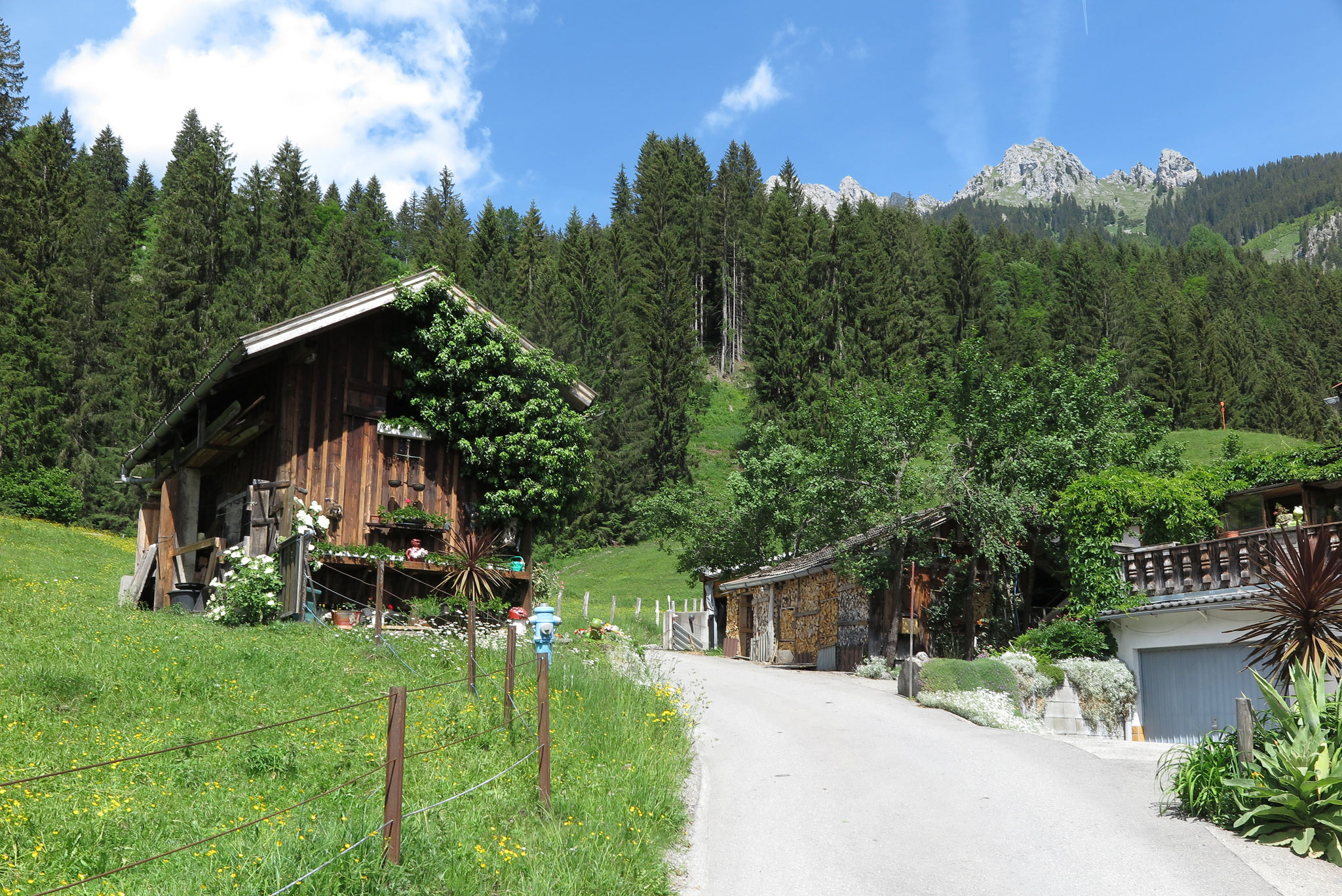 Höfen, Reutte (Photo license: CC BY-NC 2.0)
